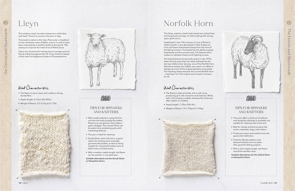 The Wonder of Wool