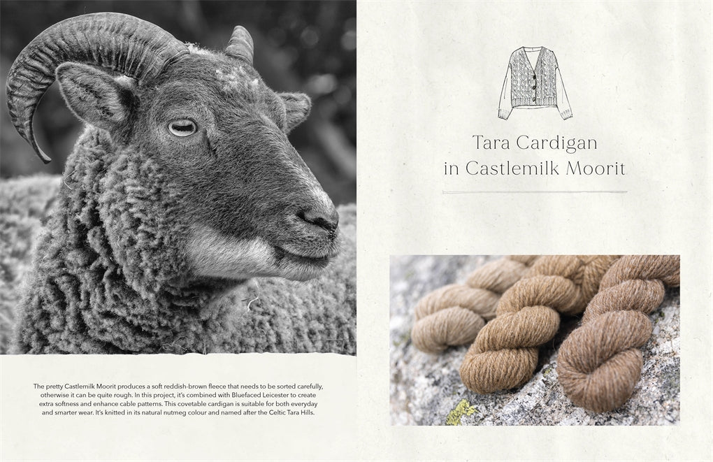 The Wonder of Wool