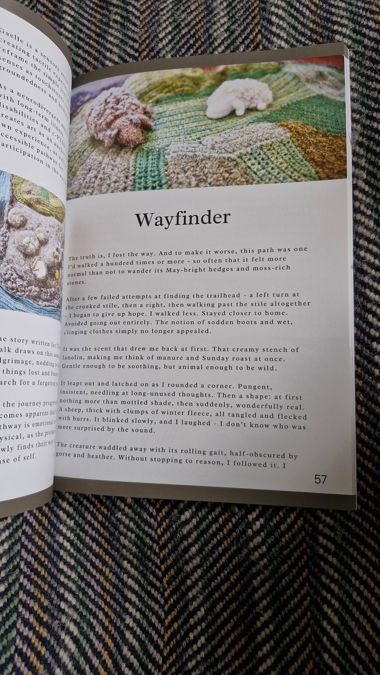 Forgotten Fleece Tales companion book