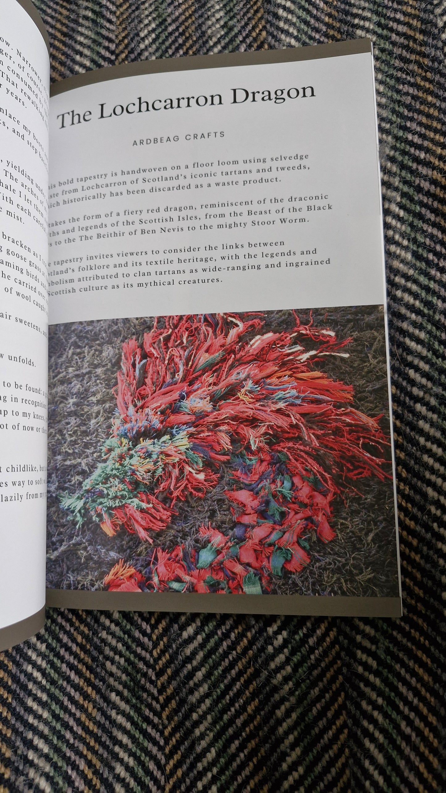 Forgotten Fleece Tales companion book